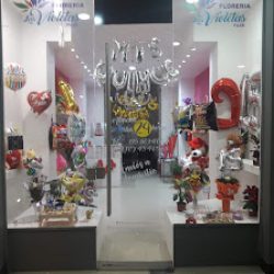 Floreria Las Violetas Pilar 2