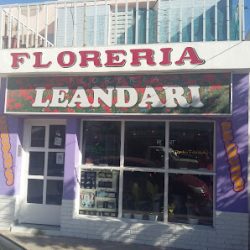 Floreria Leandari