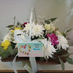 Florería Lilia