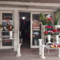 Florería" Lo De Selva"