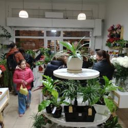 Florería Los Alpes - Necochea