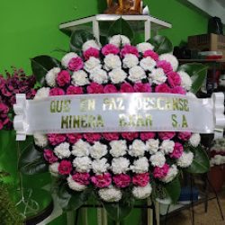 Florería Los Ángeles