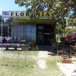 Floreria Los Aromos