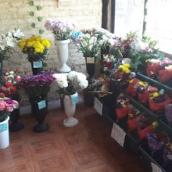 Florería Los Mirasoles