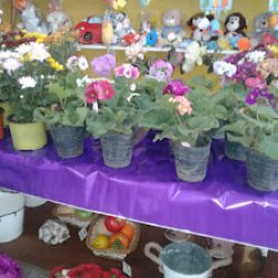 Florería Luisina