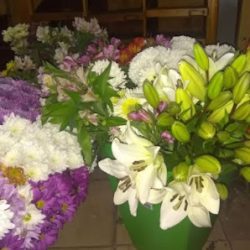 Florería Luz María