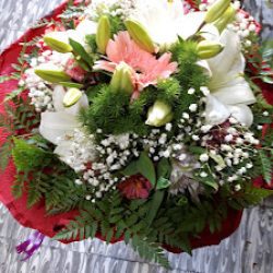 Floreria Maria Del Sur