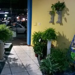 Floreria Maria Lidia