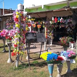 Florería Mario Y Rosa