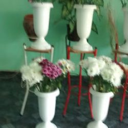 Florería “mi Cultivo“