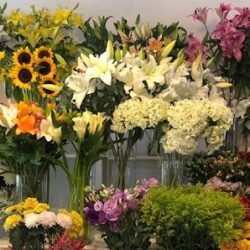 Floreria Miraflores