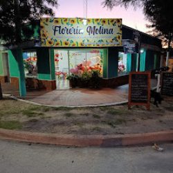Floreria Molina