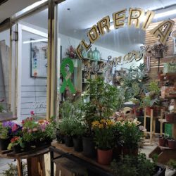 Floreria Monimar