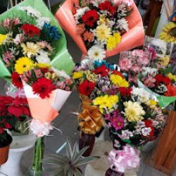 Floreria Nataly