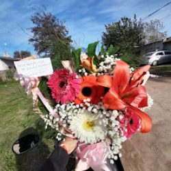 Floreria Necochea La OrquÍdea Blanca