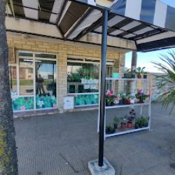 Floreria Necochea