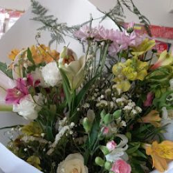 Florería Noemí