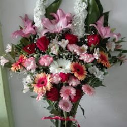Floreria Osuna