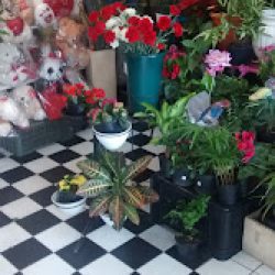Florería Para Ti