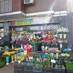 Florería Pedro