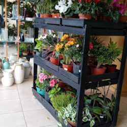 Floreria Peña. Horario De Comercio