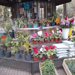 Florería Plaza López