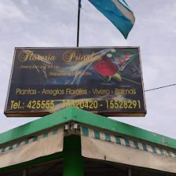 Floreria Pringles