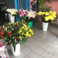 Floreria Prontoflor