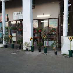Floreria Rayo De Sol