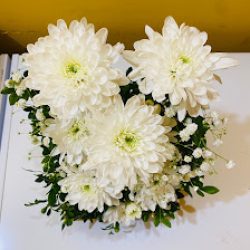 Florería Regalería Poker Flower