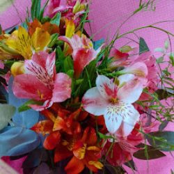 Florería Rodera