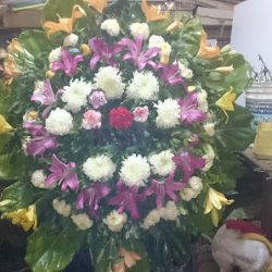 Floreria Romy