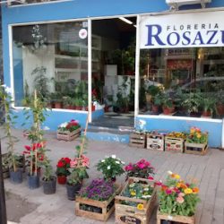 Florería Rosazul