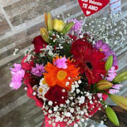 Florería San Benito