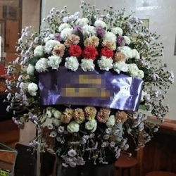Florería San Felipe