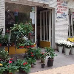Florería Santa Cecilia