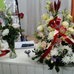 Florería Stella Marys De Jorge Velardez