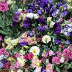 Floreria Sundhoff Arreglos Florales En Gral