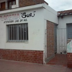 Florería Sur
