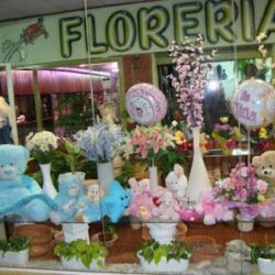 Floreria Vanessa - Envios A Domicilio