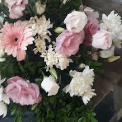 Floreria Vivero :