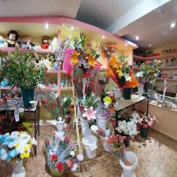 Floreria Y Bronceria Del Sur