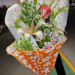 Floreria Y Cocheria Ideal