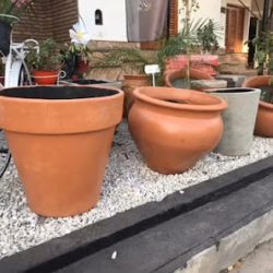 Floreria Y Forrajeria Verrua