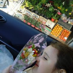 Florería Y Frutería