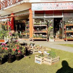 Florería Y Plantas Shekina