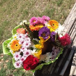 Floreria Y Planteria Las Rosas