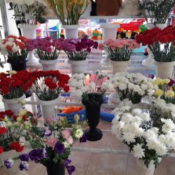 Florería Y Santeria Ale