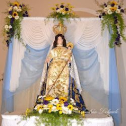 Floreria Y Vivero Araceli
