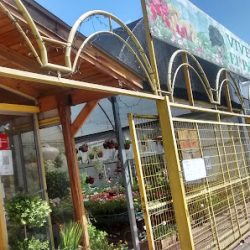 Floreria Y Vivero El Paraiso